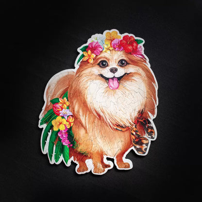 Pomeranac